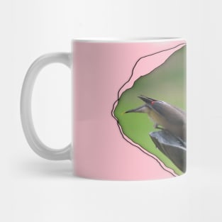 Cedar Waxwing through Torn Cloth Mug